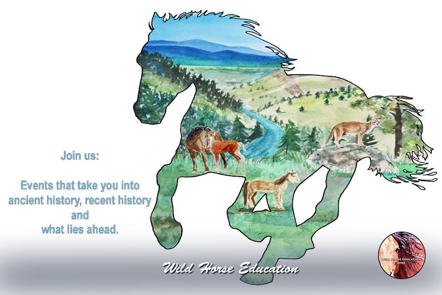 End of Year Events – Wild Horse Education