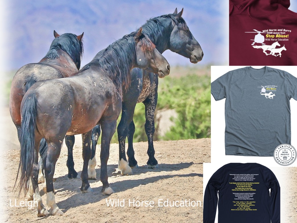 Antelope 8/19 (51 captured, winding down & rain) – Wild Horse