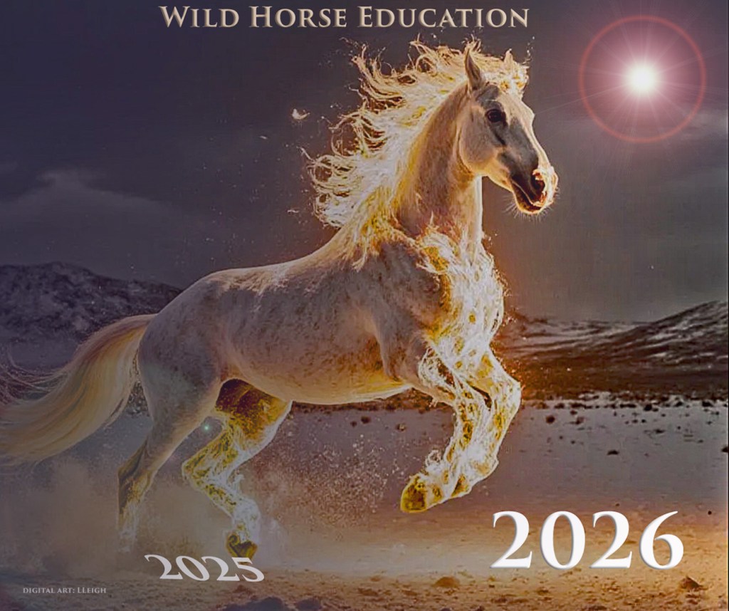 2026-1024x858.jpg